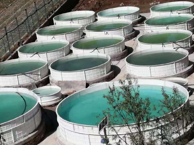 玻璃钢模压养鱼池蓄水池
